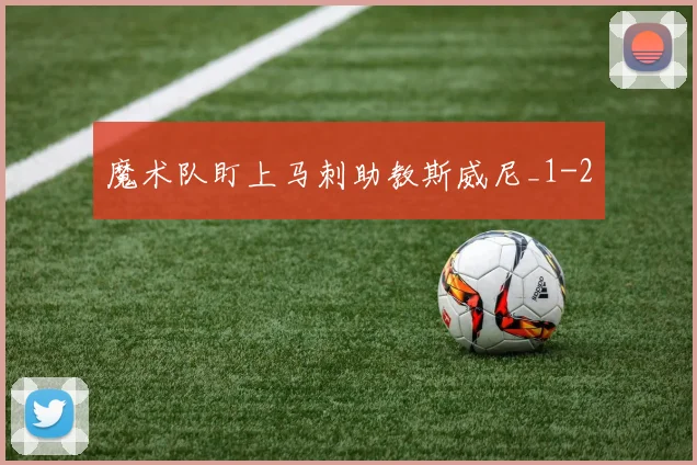 魔术队盯上马刺助教斯威尼_1